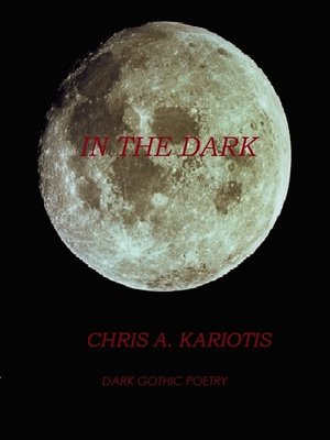 cover image of In the Dark